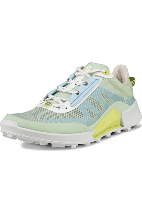 Ecco biom running best sale